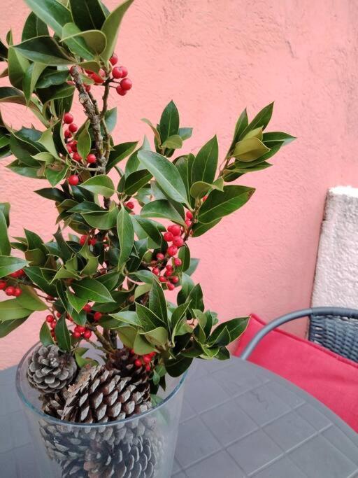 Apartamento Le Petit Charrier Aix-en-Provence Exterior foto